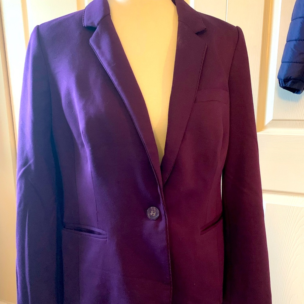 The Limited Blazer